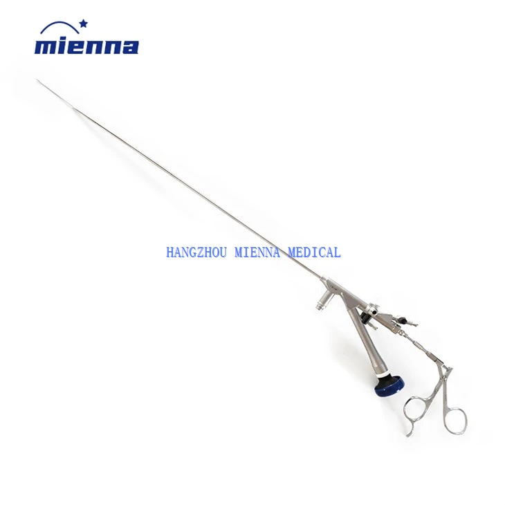 Ureterorenoscopio digitale a fibra ottica